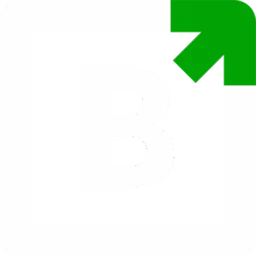 BizUp Logo